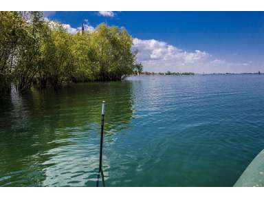 Leuchtkopf für Carpspot Spotmarker mit Dämmerungsschalter Wunschfarbe!
